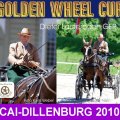 Dieter Lauterbach GER Winner CAI- Dillenburg 2009 / Golden Wheel CUP Single Driving